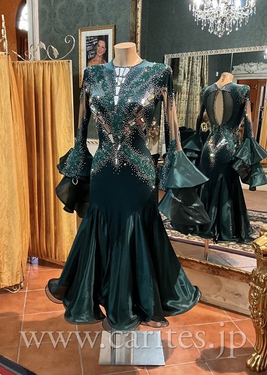 SD471・グリーンフォレスト イメージ